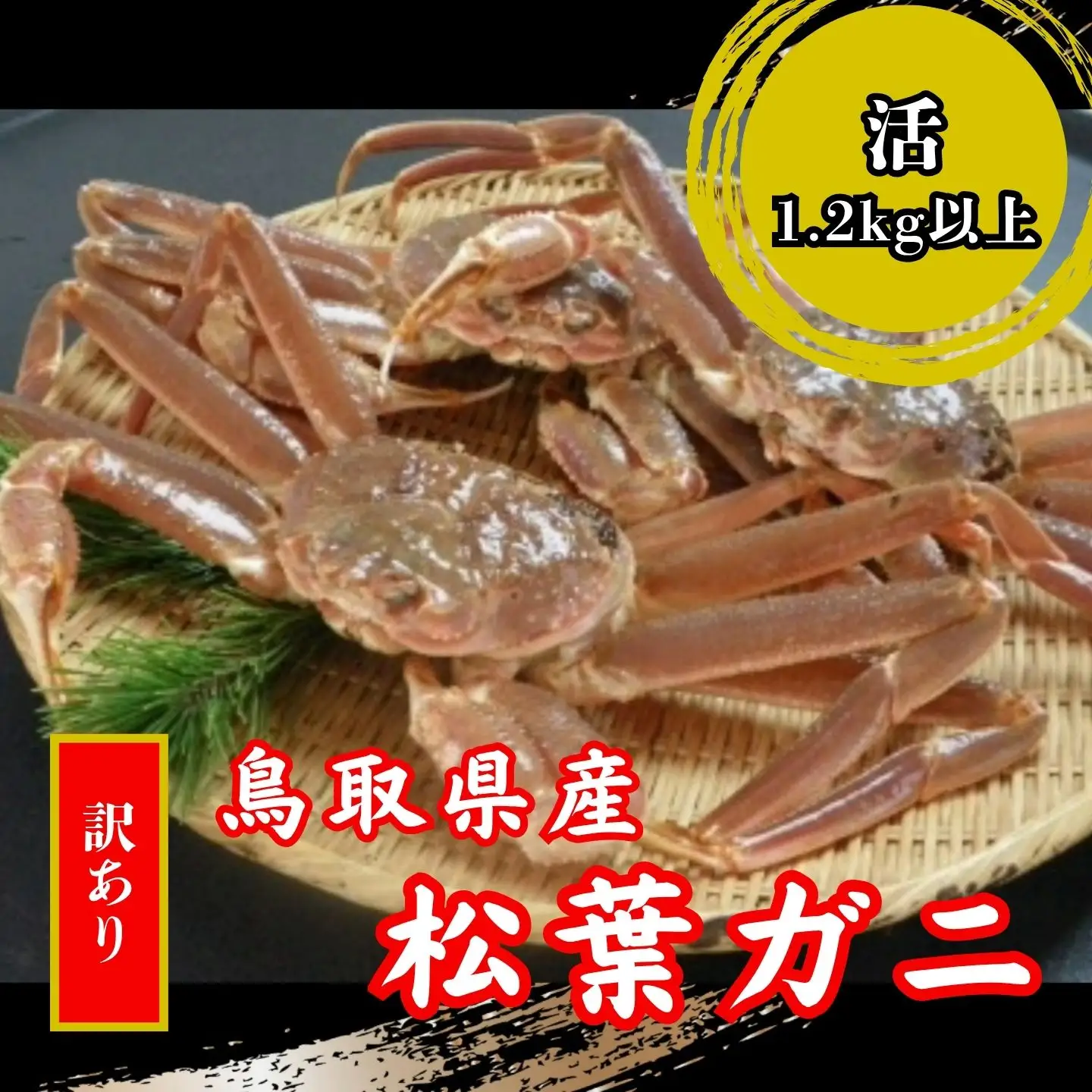 【’26先行予約】鳥取県産　訳あり活松葉がに　2～3枚で1.2ｋｇ以上（1～4本足落ち）[88]