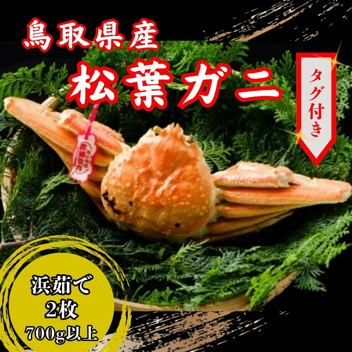【’26先行予約】鳥取県産　タグ付き浜茹で松葉がに　700ｇ以上×2枚 [89]