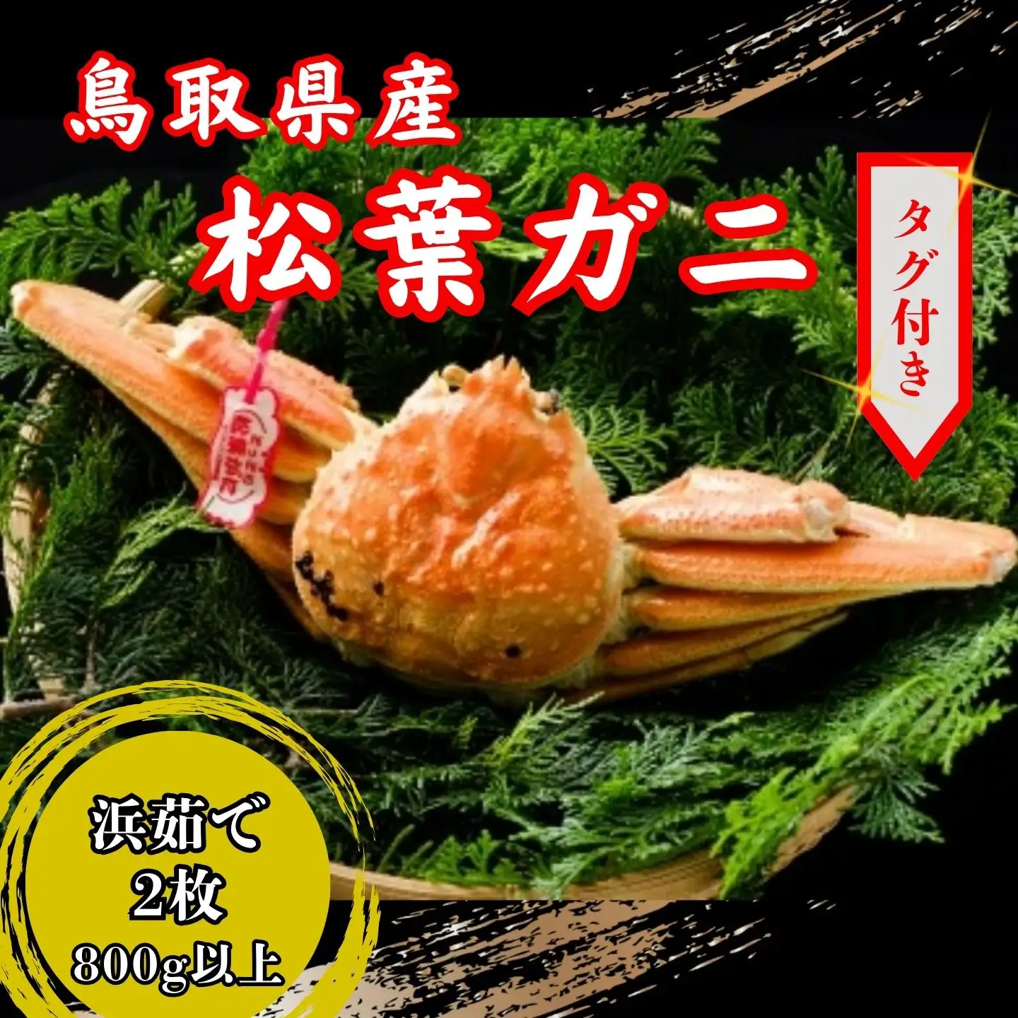 【’26先行予約】鳥取県産　タグ付き浜茹で松葉がに　800ｇ以上×2枚 [91]