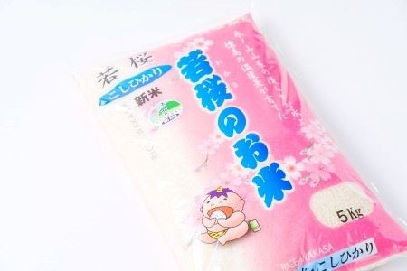 【定期便12ヶ月】特別栽培米　若桜（わかさ）のお米　コシヒカリ　12ヶ月定期便（精米5kg×12ヶ月） [137]