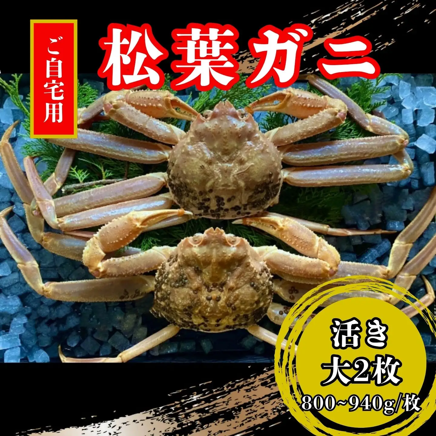 【活き】ご自宅用　松葉ガニ　大２枚(１枚800～940ｇ前後) 【配送日時指定可】 [227-WK3]