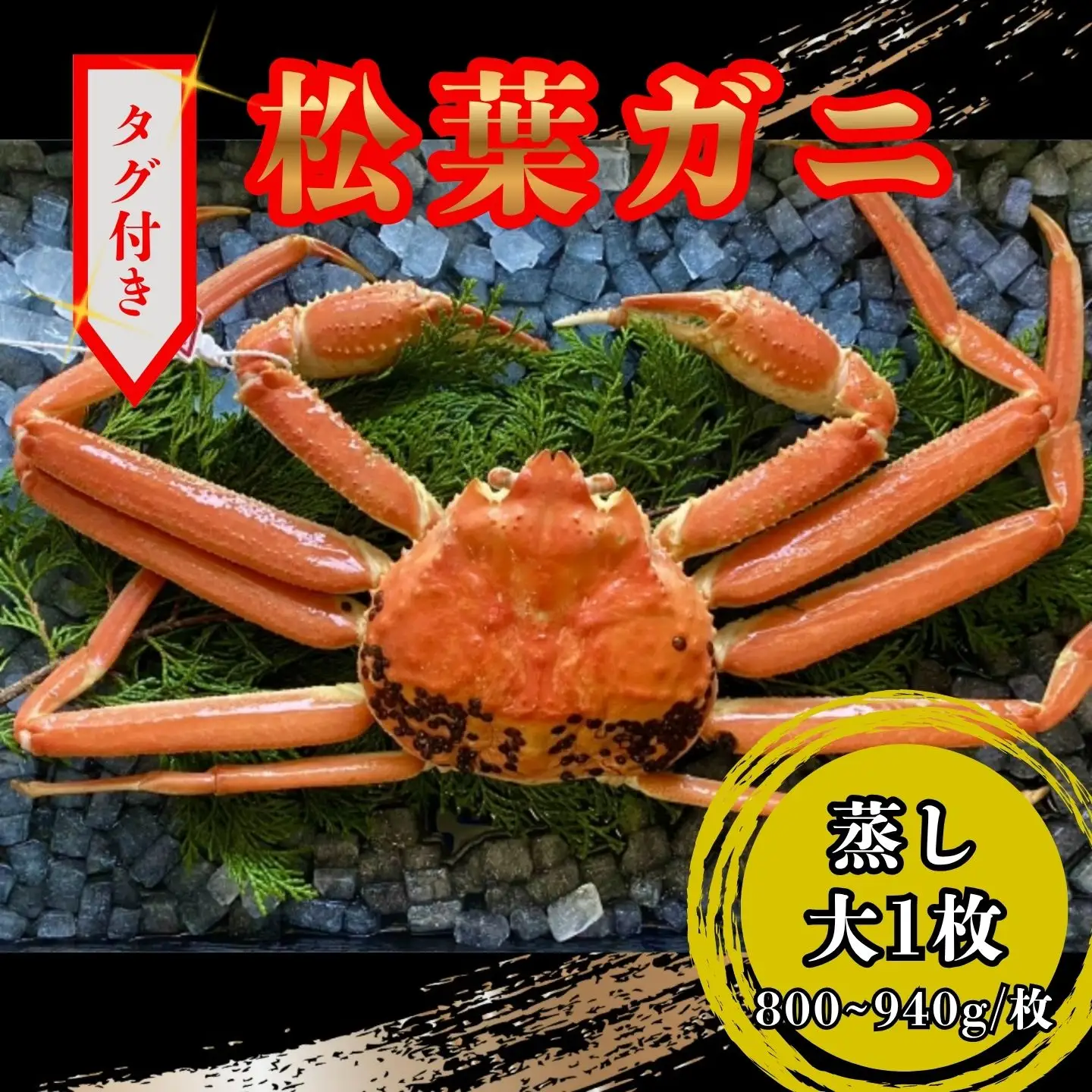 【蒸し】タグ付き松葉ガニ　大１枚(800～940ｇ前後) 【配送日時指定可】 [230-WK6]