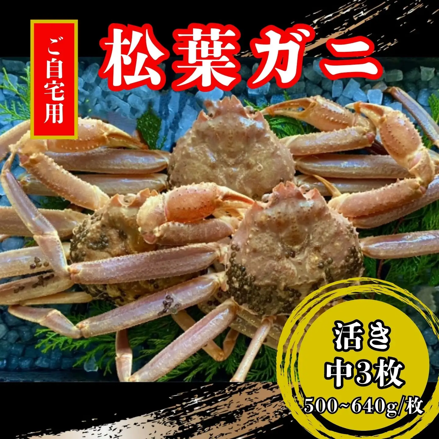 【活き】ご自宅用　松葉ガニ　中3枚(１枚500～640ｇ前後) 【配送日時指定可】 [231-WK7]
