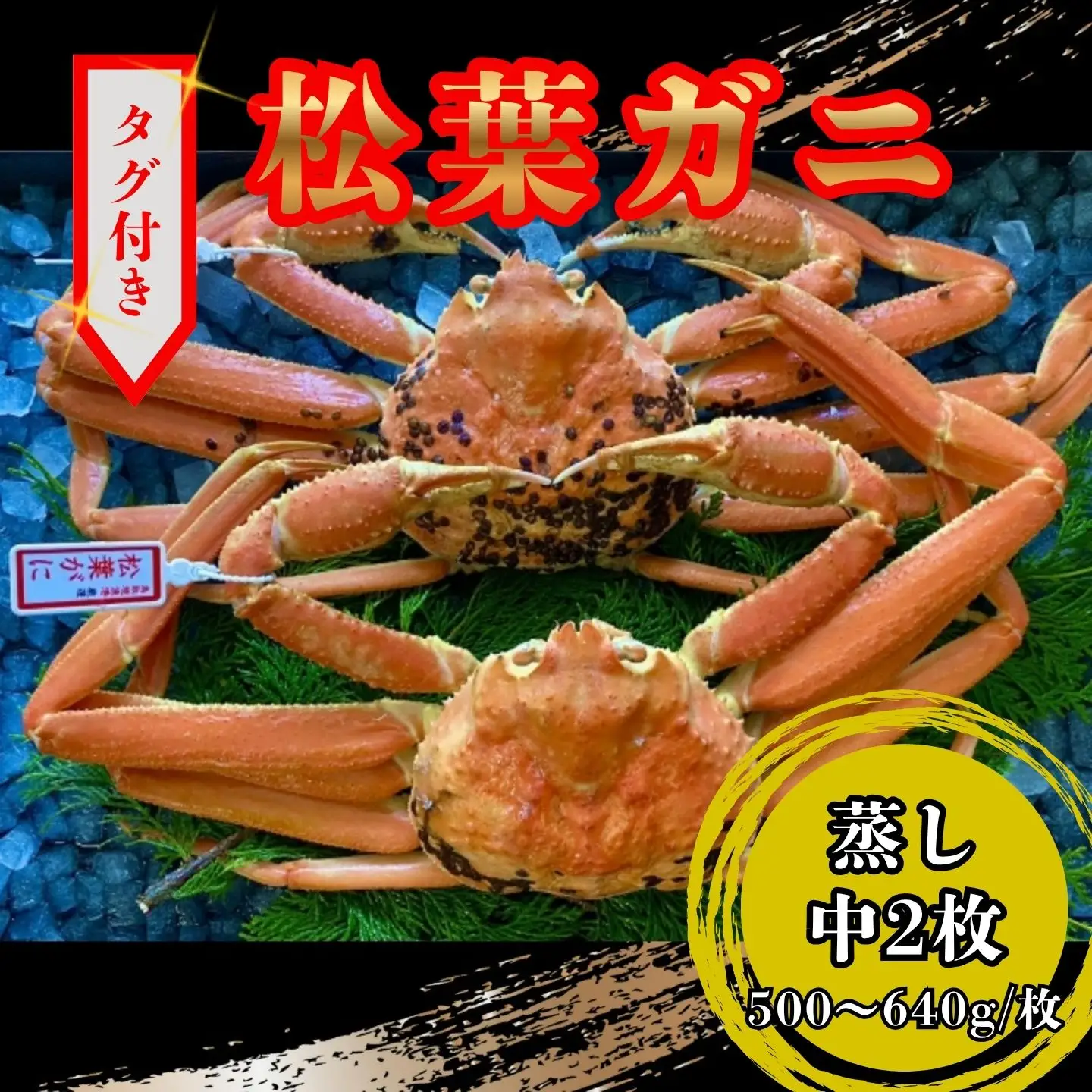 【蒸し】タグ付き松葉ガニ　中2枚(１枚500～640ｇ前後) 【配送日時指定可】 [234-WK10]