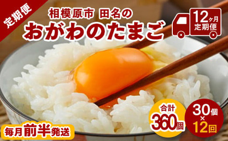 おがわのたまご Mサイズ 30個(27個＋割れ補償3個)×12か月｜たまご 【12ヶ月定期便】【毎月前半発送】
