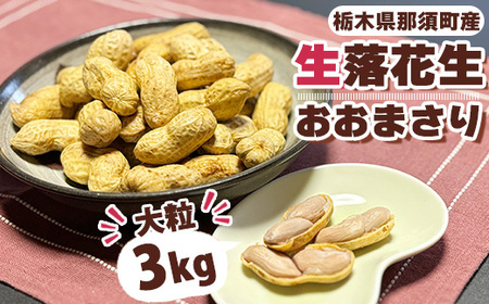 大粒生落花生「おおまさり」3kg ｜ 落花生 大粒 ピーナッツ おつまみ 国産 おやつ 冷蔵 那須 栃木県 那須町〔P-83〕 ※2026年9月～発送
