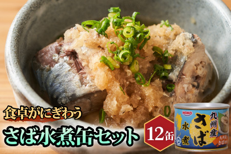 さば水煮缶セット(12缶)( 保存食 非常食 防災 備蓄 長期保存 )【B2-108】