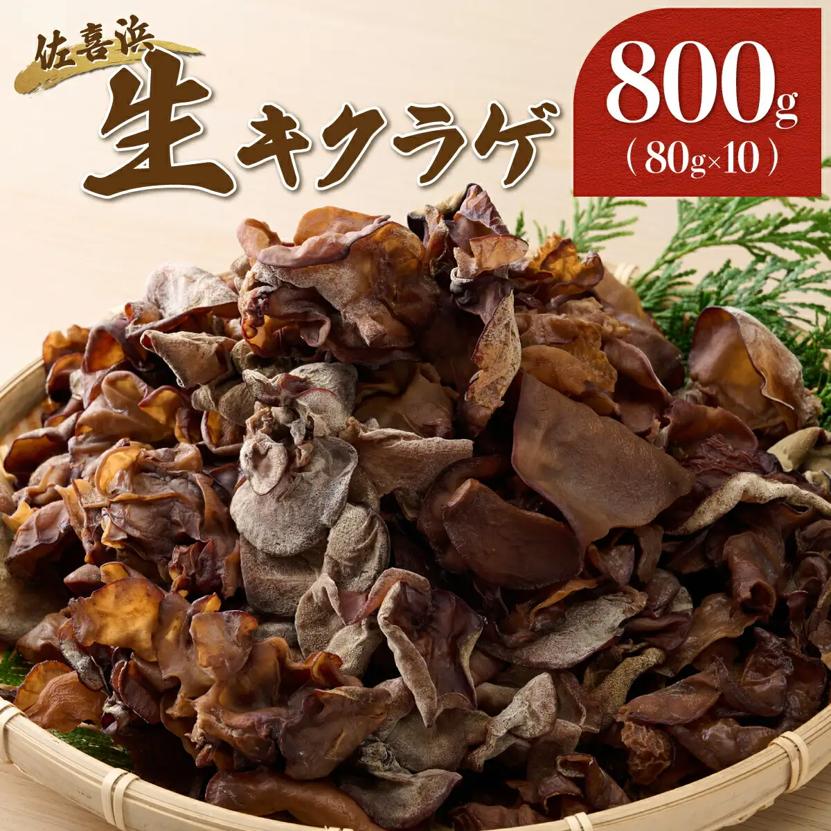 佐喜浜キクラゲ（生）　計８００ｇ（８０g×１０袋）