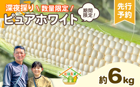 とうもろこし ピュアホワイト 6kg 茨城県産 トウモロコシ 深夜採り 朝出荷