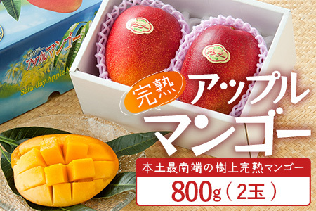 ≪先行予約・数量限定≫ ☆本土最南端☆佐多の果樹園で育てた 完熟アップルマンゴー 約800g ( 2玉 ) 【2026年7月上旬以降順次発送】 ST-406 ｜鹿児島県 南大隅 産地直送 旬 マンゴー フルーツ 果物 くだもの 