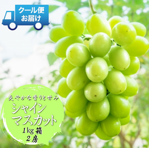 ＜2026年発送先行予約＞安心のクール便発送 収穫当日に産地直送 シャインマスカット 1kg（2房） ALPDB001