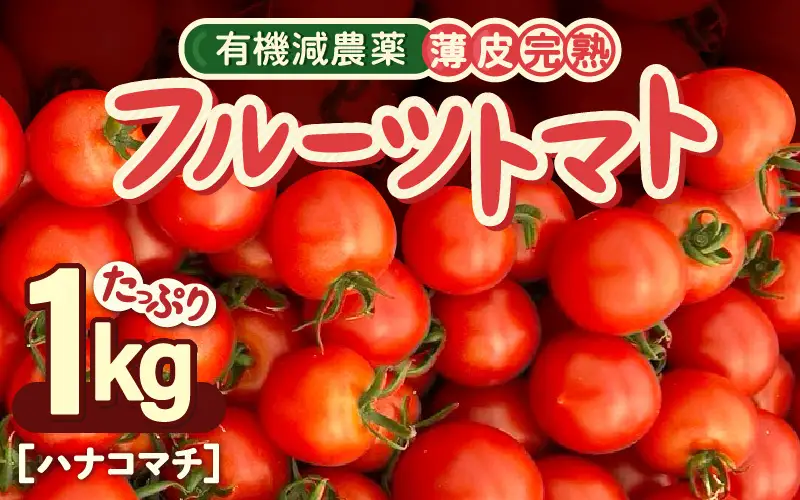 【先行予約】 有機減農薬 フルーツトマト 1kg 薄皮完熟 【2026年10月上旬以降順次発送予定】 【とまと ミディトマト 中玉トマト 野菜 やさい 新鮮 生食 アレンジ ジャム トマトソース サラダ 産地直送 国産】 [A-16206]