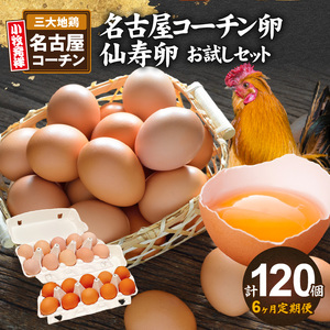 【6ヶ月定期便】名古屋コーチン卵・仙寿卵お試しセット（各10個入り）×6回（計各60個）日本三大地鶏　小牧市発祥 [006K04-T]コーチン卵 仙寿卵 高品質卵 濃厚卵