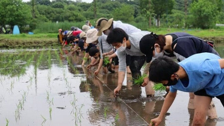 十色の米づくり体験（お米付き）全4回　【11100-0321】