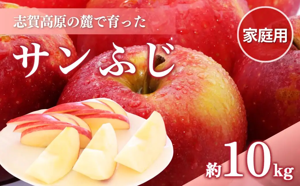 2026年発送】志賀高原の麓で育った サンふじ （家庭用）約10kg りんご