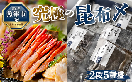 究極の昆布〆、2段5種盛（急速冷凍品）魚卸問屋はりたや 富山県魚津市 昆布締め こぶじめ 刺身 天然昆布 ※北海道・沖縄・離島への配送不可