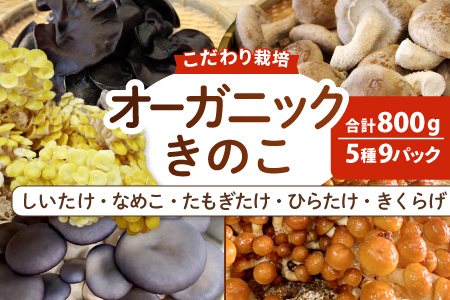 オーガニックきのこバラエティ小セット約800g（5種9パック入）