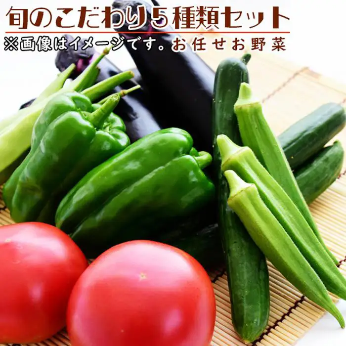 旬のこだわり5種類セット