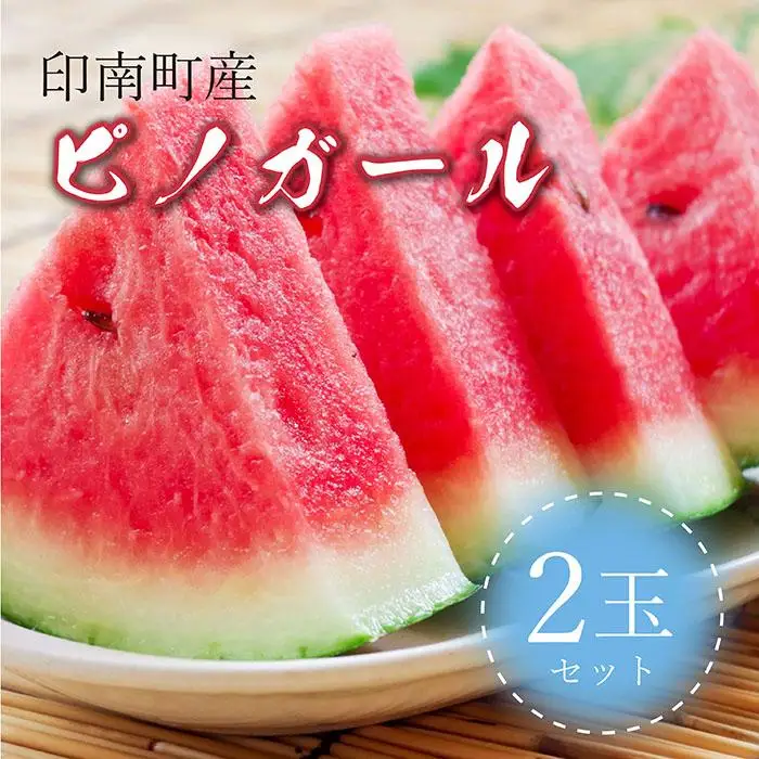 種まで食べられるスイカ！印南町産 ピノガール【2玉セット】2026年5月下旬より順次お届け　スイカ 西瓜 ピノガール