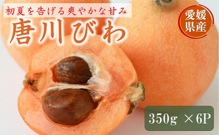 びわ 唐川びわ 350g×6パック 【2026年5月下旬以降発送】ブランド認定品 生 季節限定 数量限定 人気 枇杷 フルーツ 果物 旬 甘い お取り寄せ 伊予市 愛媛｜B124