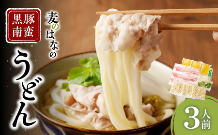 麦のはな の 黒豚 南蛮うどん 【 3人前 】 K071-002