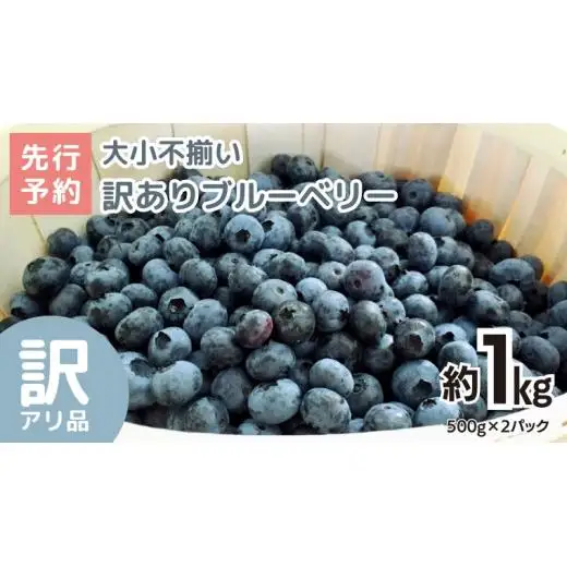 《 先行予約 》ブルーベリー 大小不揃い 約 1kg【2026年6月中旬頃より発送開始】訳アリ B品 お得 甘い 甘酸っぱい 産地直送 おやつ デザート ジャム スムージー