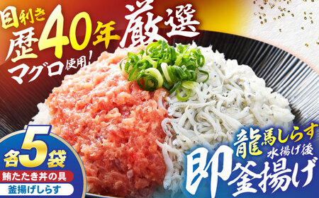 【最速発送】龍馬しらすと鮪たたきの紅白丼 【株式会社 七和】 [ATAX006]　スピード 最短 最速 発送