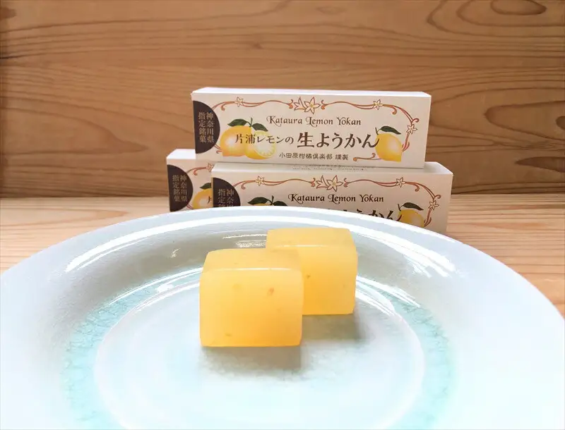 小田原老舗和菓子店の手づくり片浦レモンの生ようかん【和菓子店 手作りようかん 片浦レモンの生ようかん  職人の手作り 神奈川県指定銘菓 レモン 和スイーツ   神奈川県 小田原市 生ようかん 生ようかん】