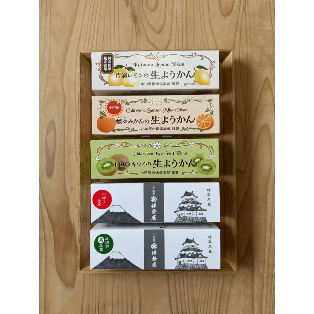 小田原老舗和菓子店の手づくりようかん5本セット【和菓子店　手づくりようかん5本セット レモンようかん　フルーツようかん 足柄茶ようかん 本練ようかん キウイようかん 梅ようかん 神奈川県指定銘菓 神奈川県 小田原市 ようかん ようかん】