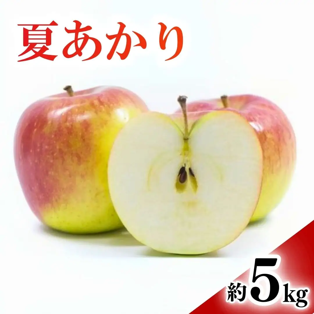 【2026年先行予約】りんご 夏あかり(長野県オリジナル品種) 約5kg |夏あかり