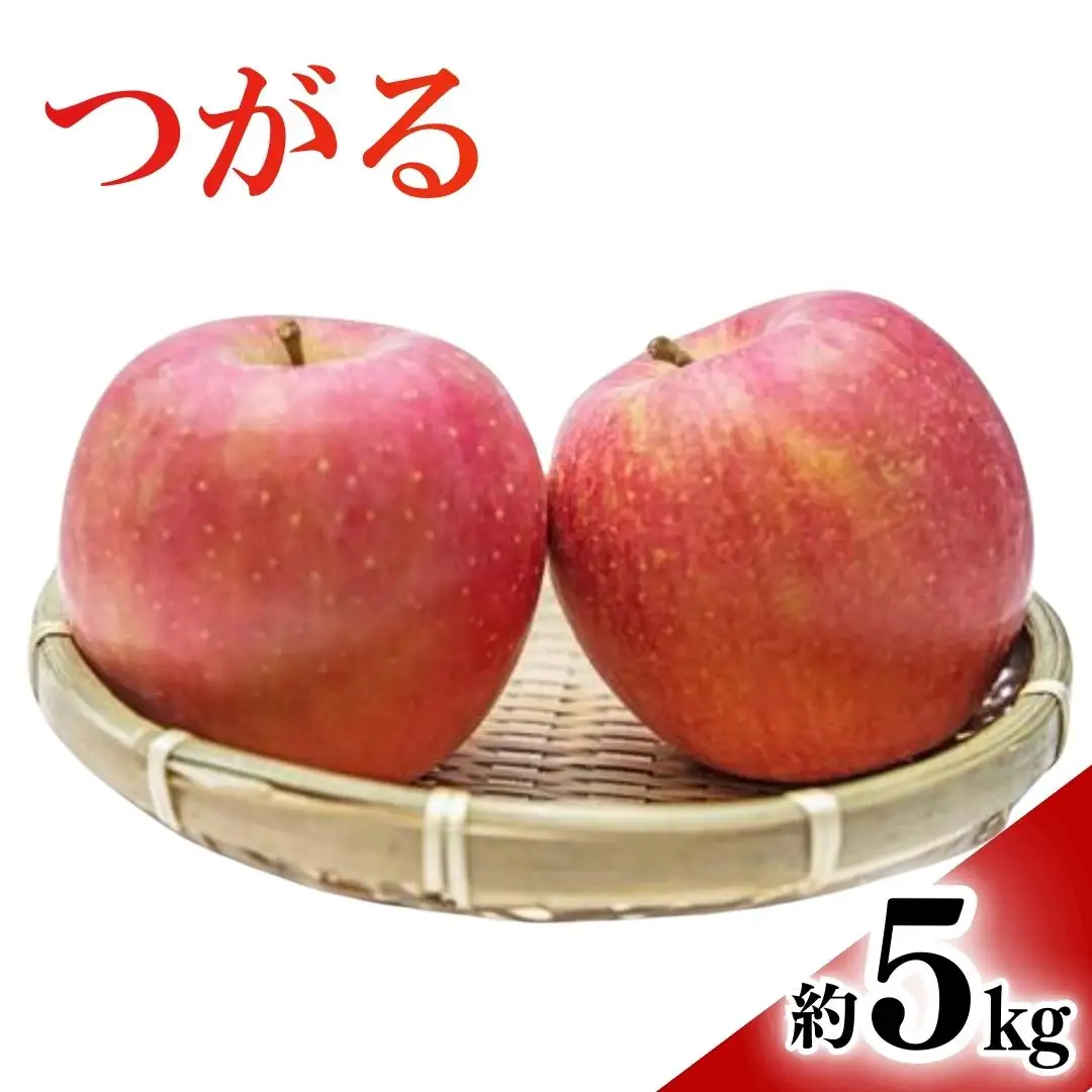 【2026年先行予約】りんご つがる 約5kg |りんご