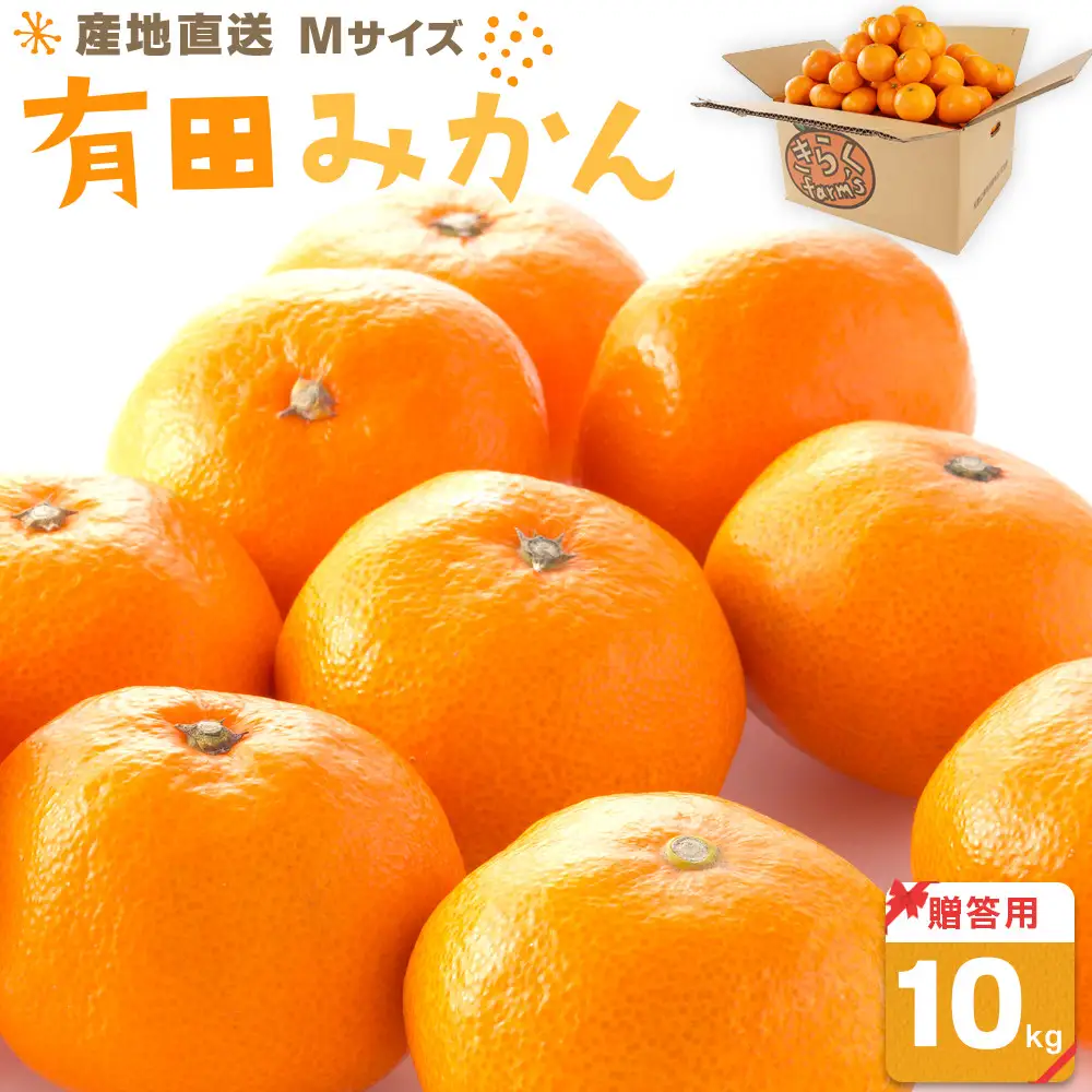 産地直送 贈答用 有田みかん Mサイズ 約10kg 喜楽farms 【2026年11月以降順次発送】
