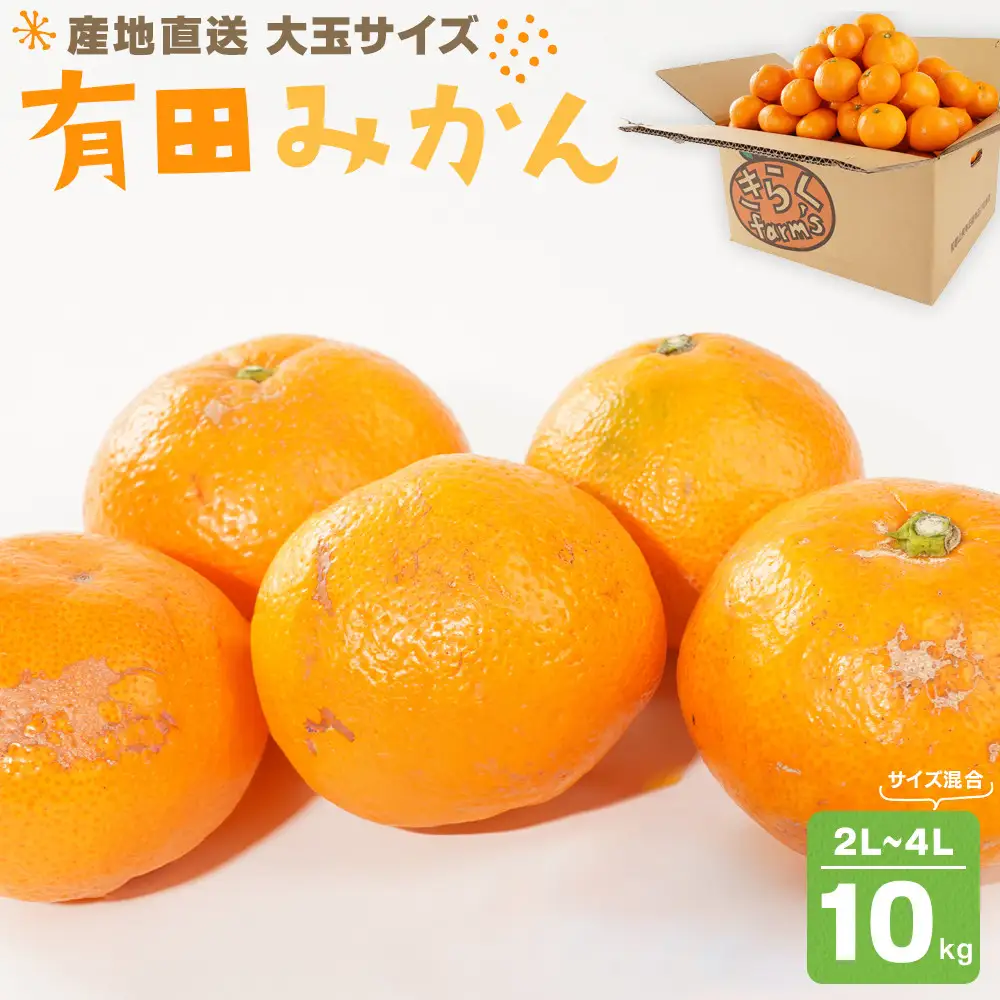 有田みかん 大玉サイズ 2L～4L サイズ混合 約10kg みかん 喜楽farms 【2026年12月以降順次発送】