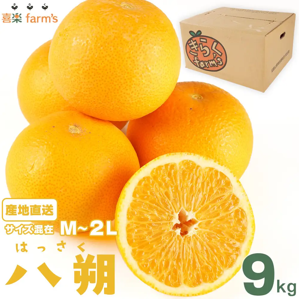 【産地直送】☆八朔☆サイズ混載（M～2L）☆9kg