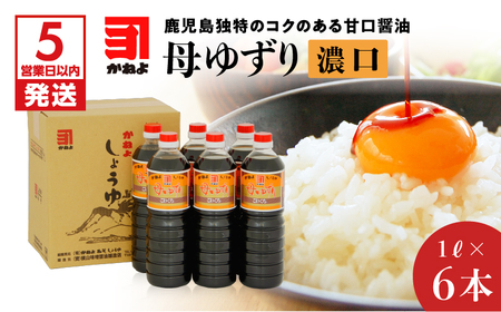 【5営業日以内に発送】「かねよみそしょうゆ」母ゆずり濃口6本セット K058-005 調味料 スピード配送 最短 すぐ届く お急ぎ