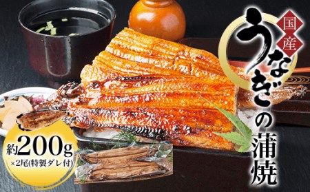 国産うなぎの蒲焼 特製ダレ付 (約200g×2尾・特製だれ55cc×2本) ふるさと納税 福知山市 鰻 うなぎ 蒲焼 タレ 焼き かばやき ウナギ 国産 土用の丑の日 【fc-AW006】【株式会社凡愚】