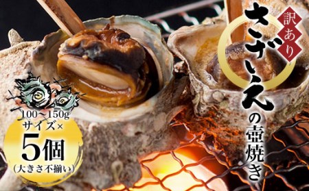 ＜訳あり＞さざえの壺焼き 大きさ不揃い(100～150gサイズ×5個) ふるさと納税 福知山市 訳あり さざえ サザエ 壷 新鮮 【fc-AW009】【株式会社凡愚】