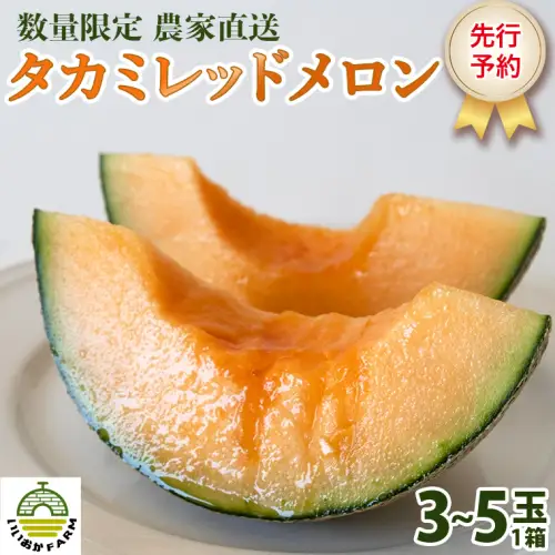 【先行受付】メロン タカミレッドメロン 1箱 3玉～5玉  2026年発送