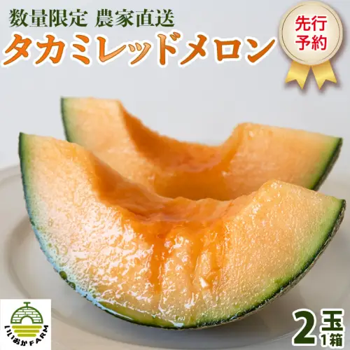 【先行受付】メロン タカミレッドメロン 1箱 2玉  2026年発送