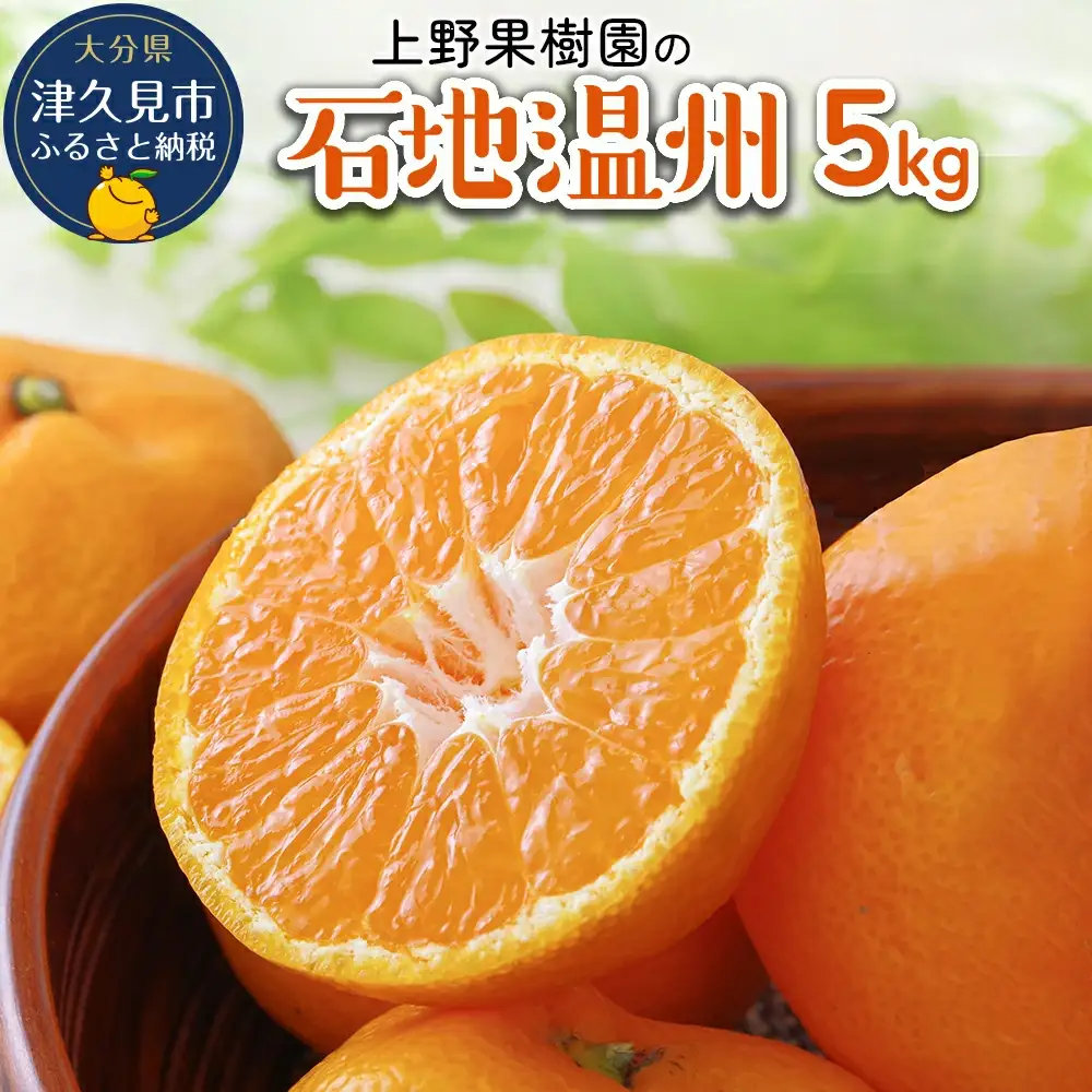 上野果樹園の石地温州 温州みかん 5kg | 津久見市