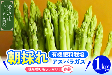 【 令和8年産 春芽 】 アスパラガス 1kg 1箱 〔 発送 ： 2026年5月中旬頃 ～ 6月中旬頃 まで 〕 朝採り 有機肥料栽培