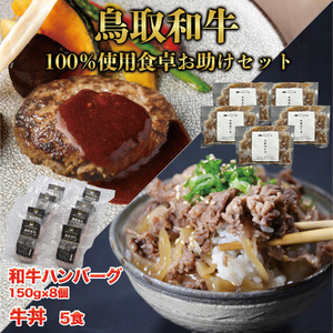 鳥取和牛100％使用食卓お助けセット　DN-12