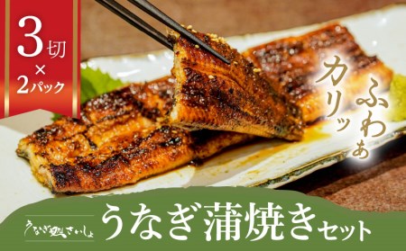「うなぎ処 さいしょ」うなぎの蒲焼セット 3切×2パック K030-001 魚 惣菜 総菜