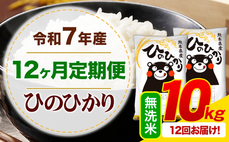 【12ヶ月定期便】令和7年産 無洗米 ひのひかり 定期便 10kg(5kg×2袋)《お申込み翌月から出荷》