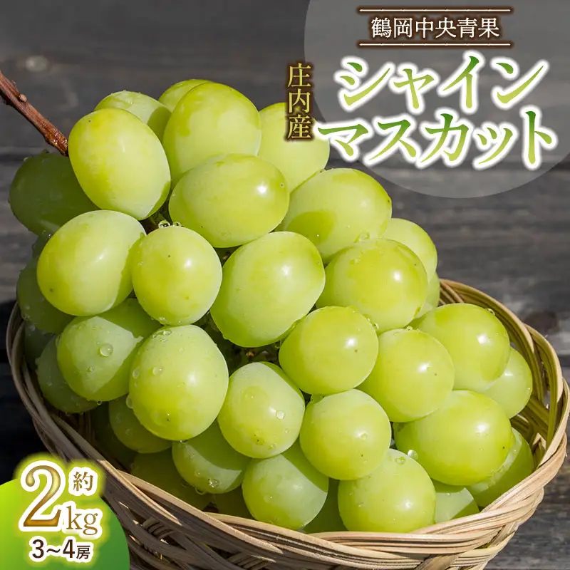 【令和8年産先行予約】 シャインマスカット 2kg（3～4房）　山形県鶴岡市　鶴岡中央青果　| ぶどう ブドウ 葡萄 果物 くだもの フルーツ 2キロ 大粒 種なし 皮ごと 旬 期間限定 2026年産 人気 美味しい お取り寄せ 返礼品