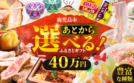 あとからセレクト【 ふるさとギフト 】40万円 K000-040 選べる