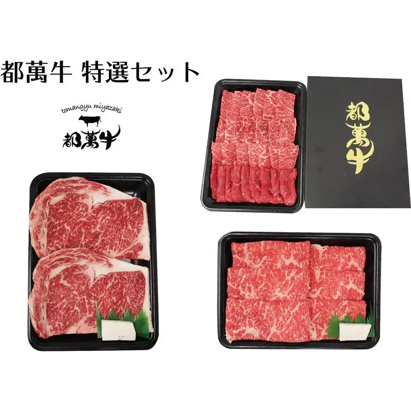 黒毛和牛『都萬牛』特選セット 牛肉 すき焼き・焼肉・ステーキ 国産牛肉＜6-1a＞
