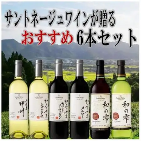 ワイン サントネージュワインが贈る おススメ 6本 セット【1400787】