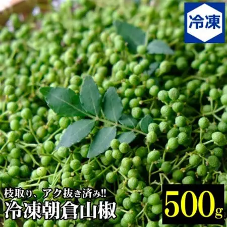 兵庫県養父市産 冷凍朝倉山椒 500g(6月下旬以降発送予定)【配送不可地域：離島】【1399259】