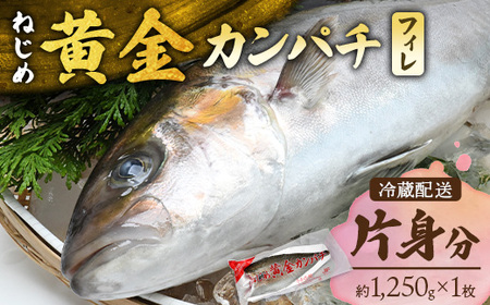 【配送日指定可能】 鹿児島 ねじめ黄金カンパチ フィレ 片身分（約1,250g×1枚） 冷蔵便 JF-508 | 魚 直送 養殖 根占 さかな 身が引き締まった かんぱち 漁師 刺身 寿司 しゃぶしゃぶ ぷりぷり食感 鹿児島県 南大隅町 ねじめ漁業協同組合